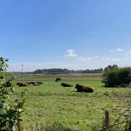 Lejlighed Bades Huk Haus 13 57 - Og Hohen Wieschendorf